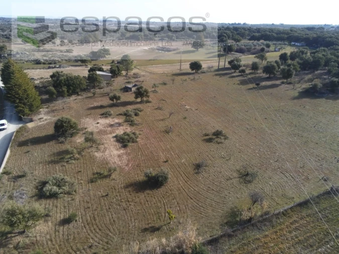 Quinta para Venda em Castelo Branco Foto 20