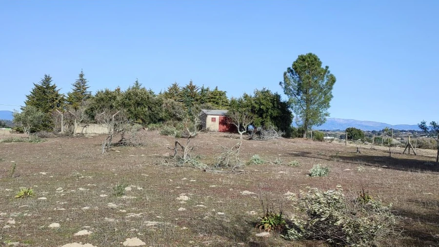 Quinta para Venda em Castelo Branco