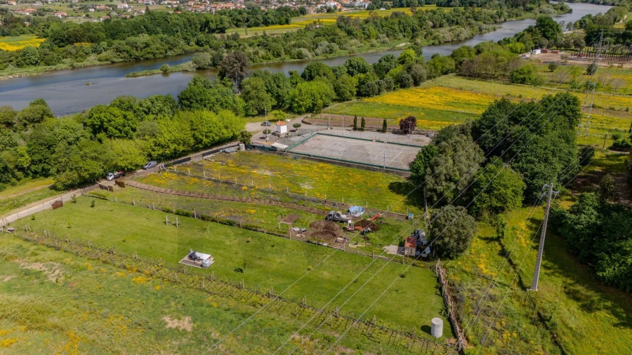 Terreno para Venda em Vitorino das Donas Foto 9