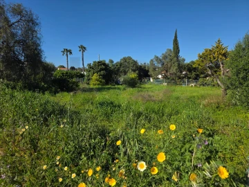 Terreno para Venda em Alcantarilha e Pêra