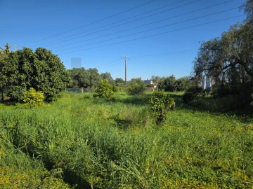 Terreno para Venda em Alcantarilha e Pêra