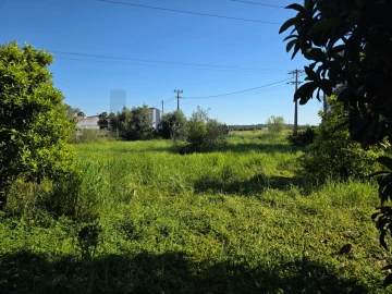 Terreno para Venda em Alcantarilha e Pêra