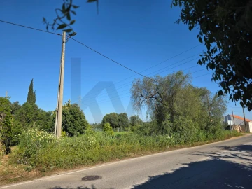 Terreno para Venda em Alcantarilha e Pêra