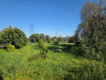 Terreno para Venda em Alcantarilha e Pêra