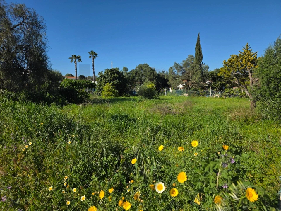 Terreno para Venda em Alcantarilha e Pêra Foto 1