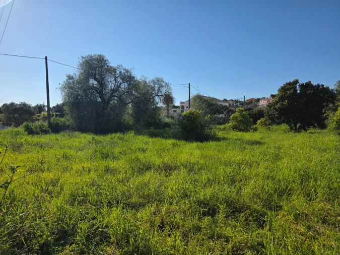Terreno para Venda em Alcantarilha e Pêra Foto 8