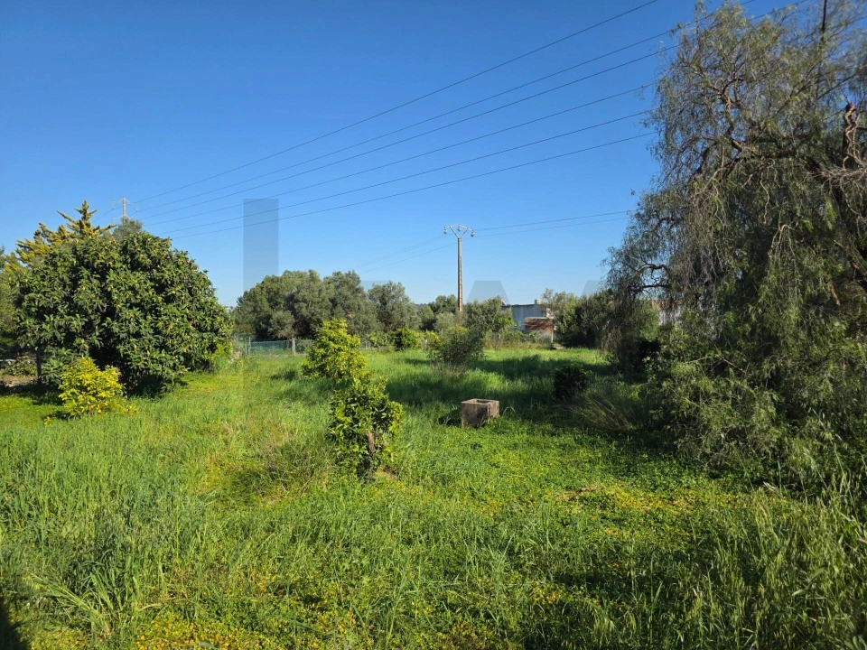 Terreno para Venda em Alcantarilha e Pêra Foto 7