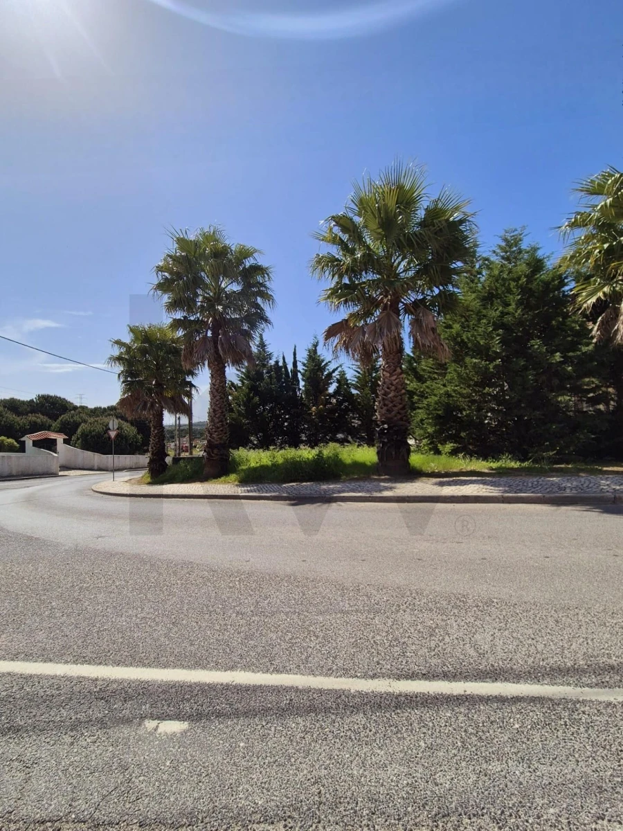 Terreno para Venda em Queluz e Belas Foto 10