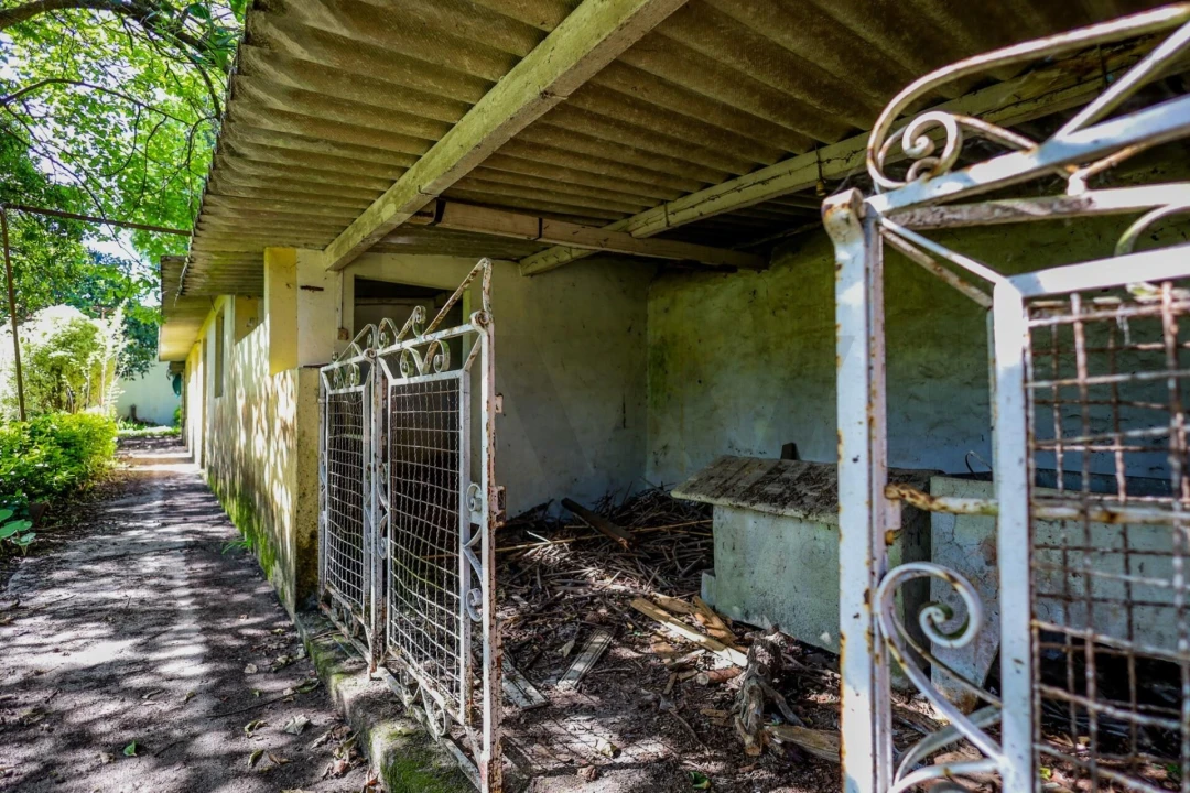 Moradia T3 para Venda em Coronado (São Romão e São Mamede) Foto 28