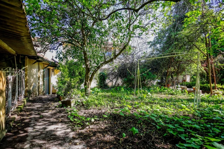 Moradia T3 para Venda em Coronado (São Romão e São Mamede) Foto 41