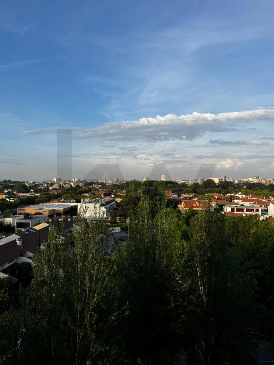 Apartamento T3 para Arrendamento em Aldoar, Foz do Douro e Nevogilde Foto 18