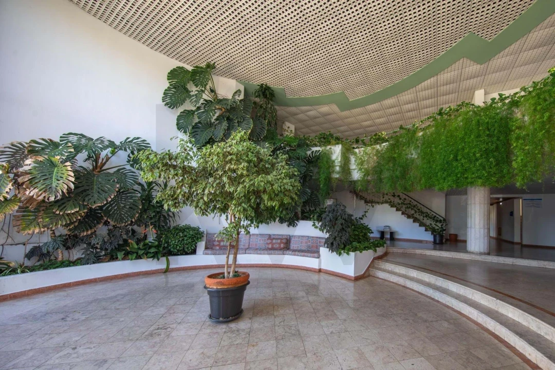 Apartamento T1 para Venda em Albufeira e Olhos de Água Foto 19