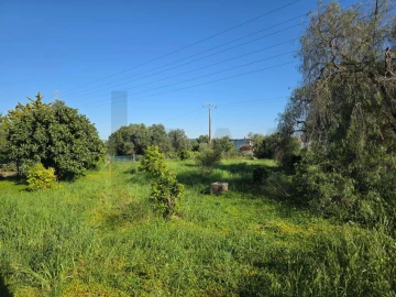 Terreno para Venda em Silves