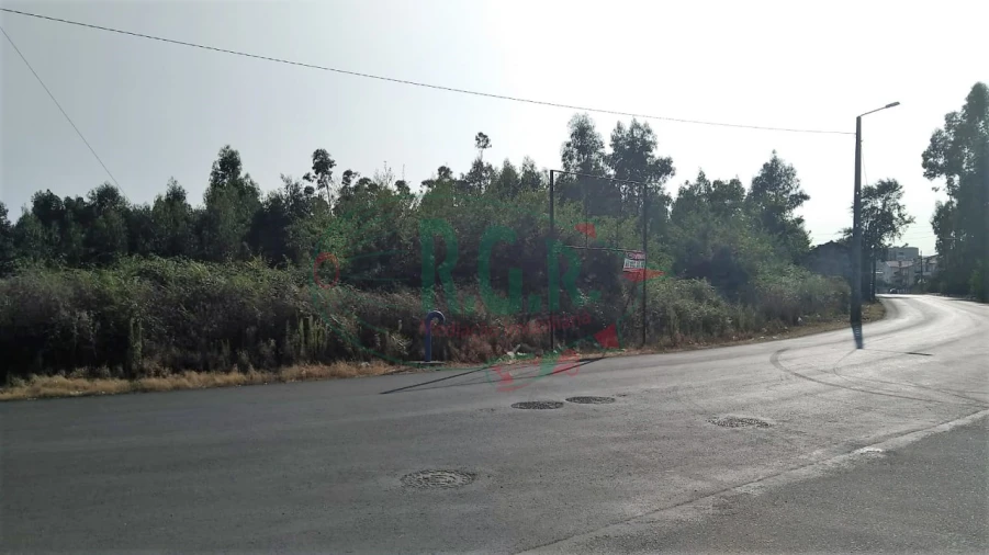 Terreno para Venda em Baguim do Monte (Rio Tinto) Foto 4