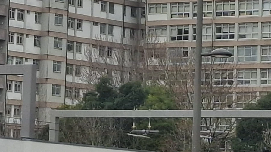 Terreno para Venda em Paranhos