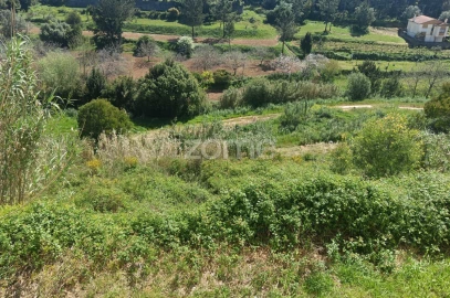 Apartamento T3 para Venda em Tavarede