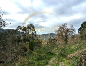 Terreno para Venda em Ribeira do Neiva