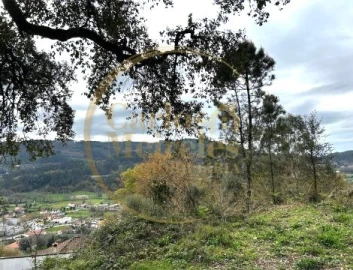 Terreno para Venda em Ribeira do Neiva