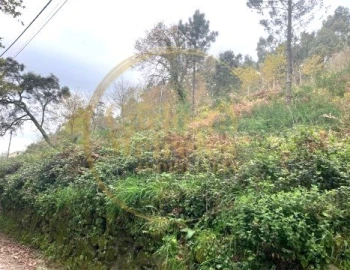 Terreno para Venda em Ribeira do Neiva