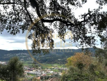 Terreno para Venda em Ribeira do Neiva