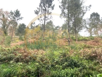 Terreno para Venda em Ribeira do Neiva