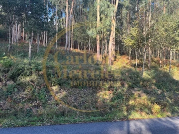 Terreno Agricola ou Rústico para Venda em Carreiras (São Miguel) e Carreiras (Santiago)