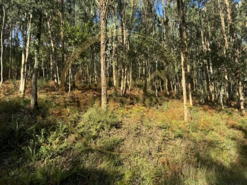 Terreno Agricola ou Rústico para Venda em Carreiras (São Miguel) e Carreiras (Santiago)