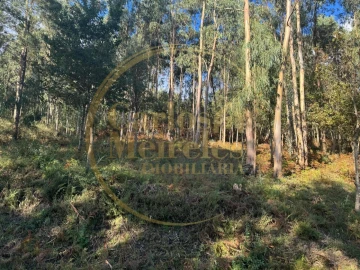 Terreno Agricola ou Rústico para Venda em Carreiras (São Miguel) e Carreiras (Santiago)