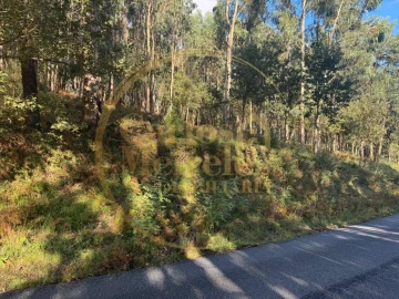 Terreno Agricola ou Rústico para Venda em Carreiras (São Miguel) e Carreiras (Santiago)