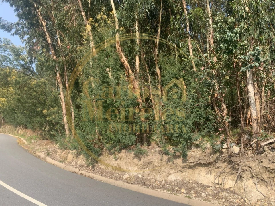 Terreno para Venda em Dossãos Foto 7