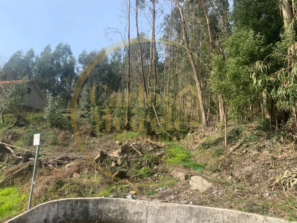 Terreno para Venda em Dossãos Foto 9