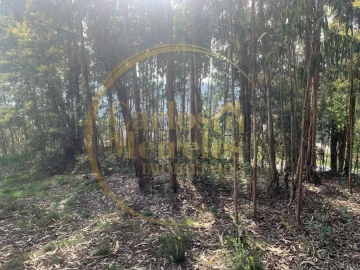 Terreno para Venda em Dossãos