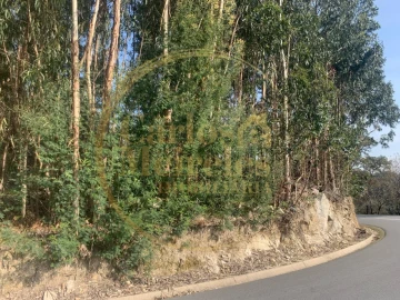 Terreno para Venda em Dossãos