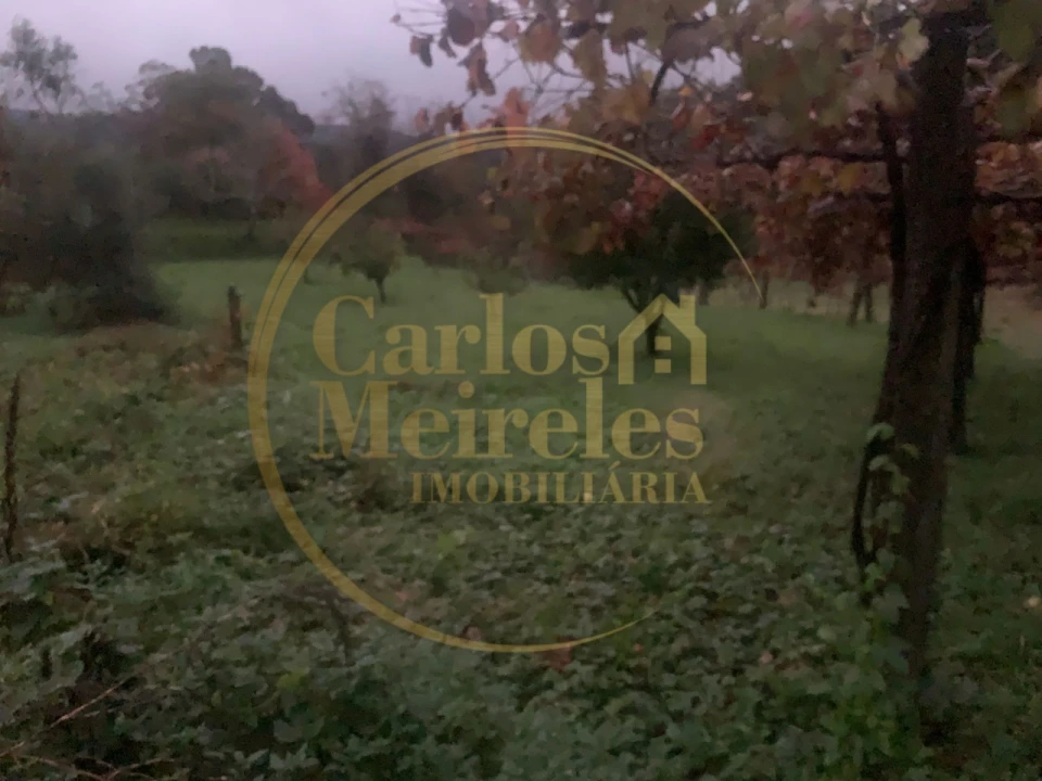 Terreno para Venda em Rebordões (Souto) Foto 1