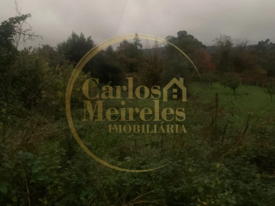 Terreno para Venda em Rebordões (Souto) Foto 4
