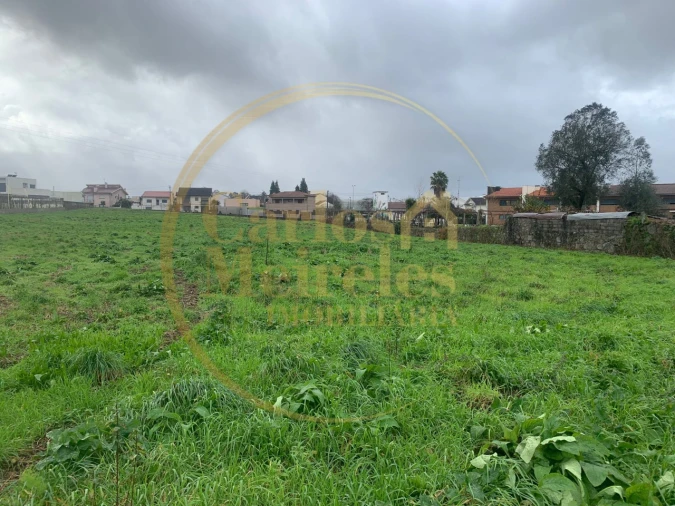 Terreno para Venda em Palmeira Foto 3