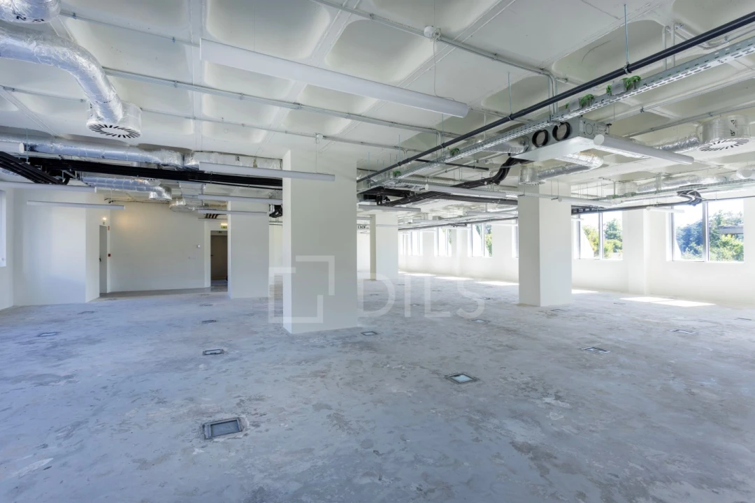 Escritório para Arrendamento em Avenidas Novas Foto 5