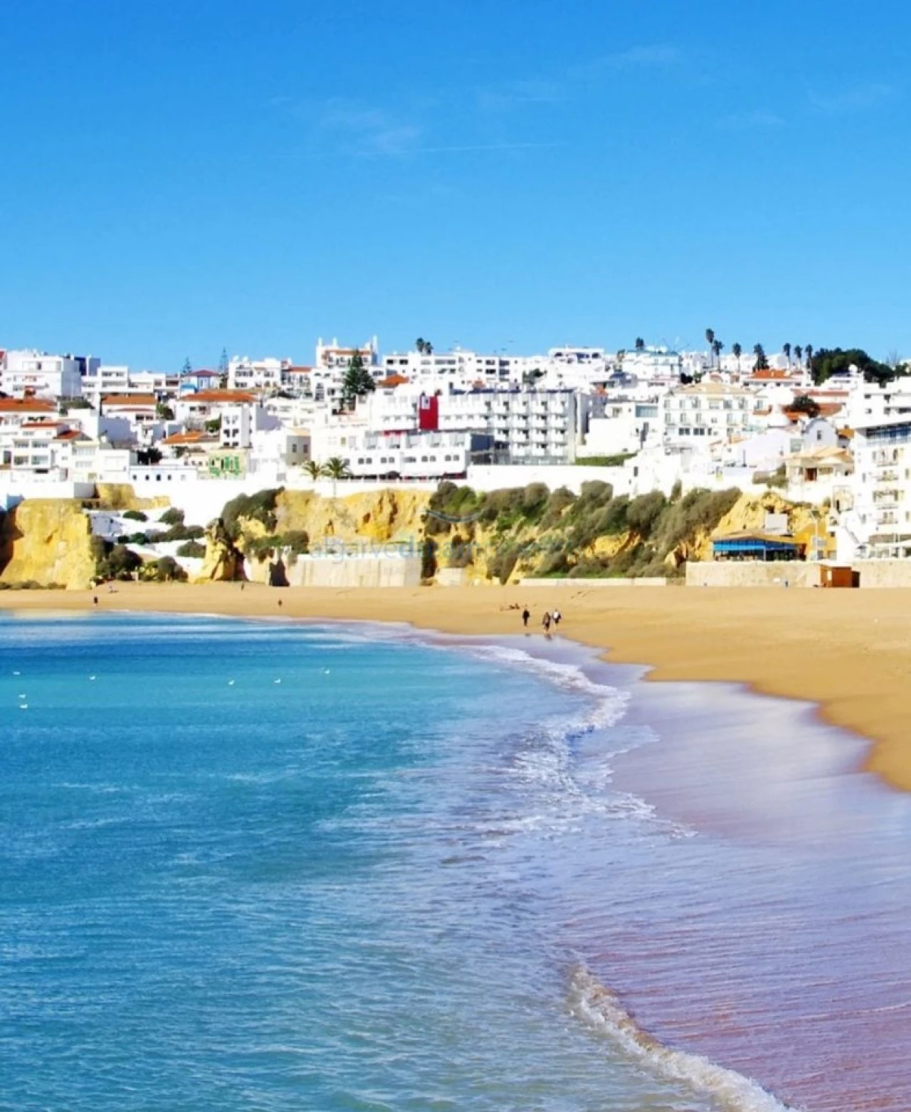 Terreno para Venda em Albufeira e Olhos de Água Foto 10