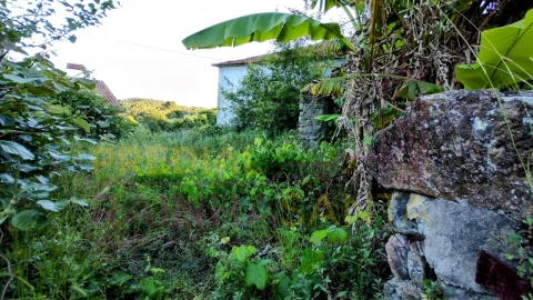 Moradia T3 para Venda em Ceira
