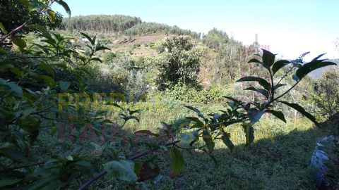 Moradia T4 para Venda em Arrifana