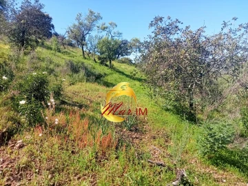 Terreno Agricola ou Rústico para Venda em Odeleite