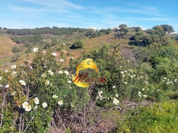 Terreno Agricola ou Rústico para Venda em Odeleite