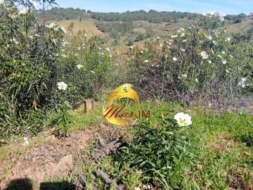 Terreno Agricola ou Rústico para Venda em Odeleite