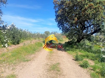 Terreno Agricola ou Rústico para Venda em Odeleite