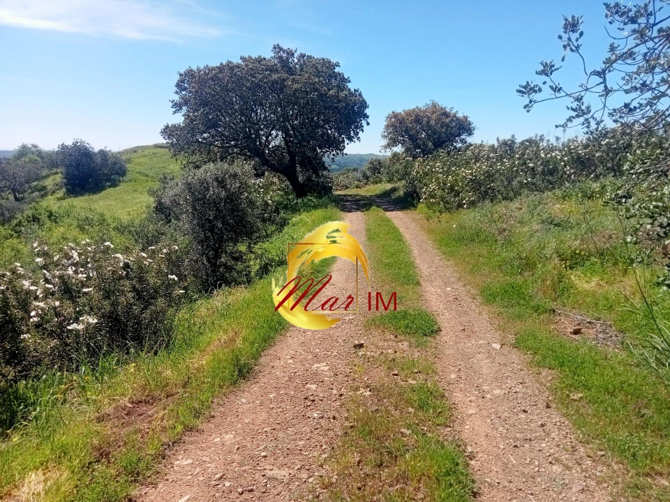Terreno Agricola ou Rústico para Venda em Odeleite Foto 19
