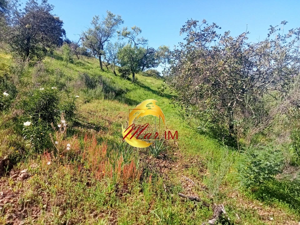 Terreno Agricola ou Rústico para Venda em Odeleite Foto 3