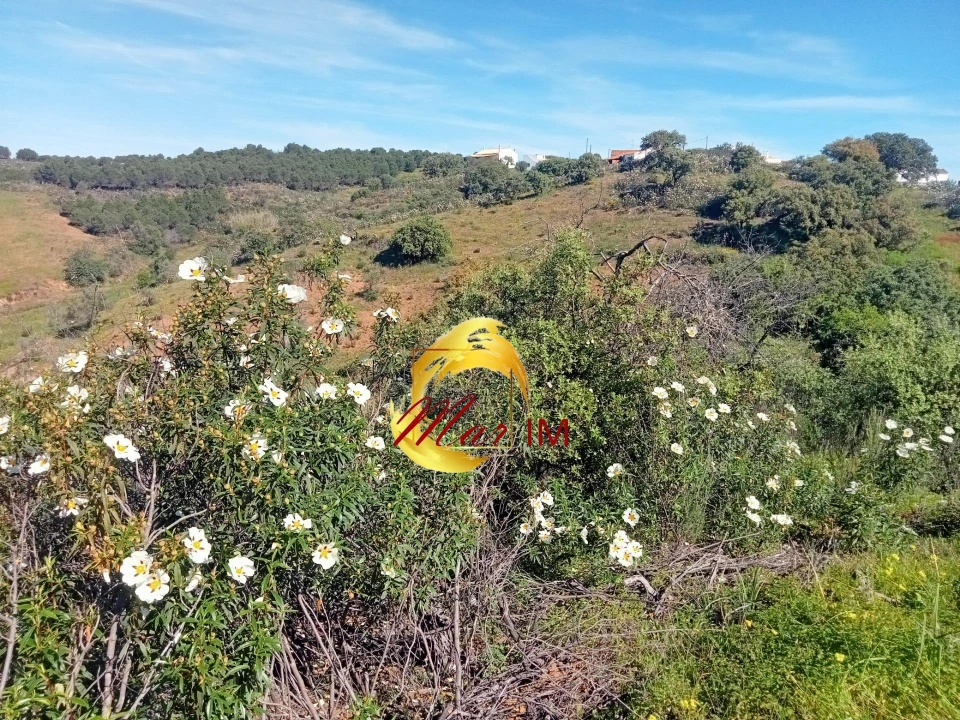 Terreno Agricola ou Rústico para Venda em Odeleite Foto 5