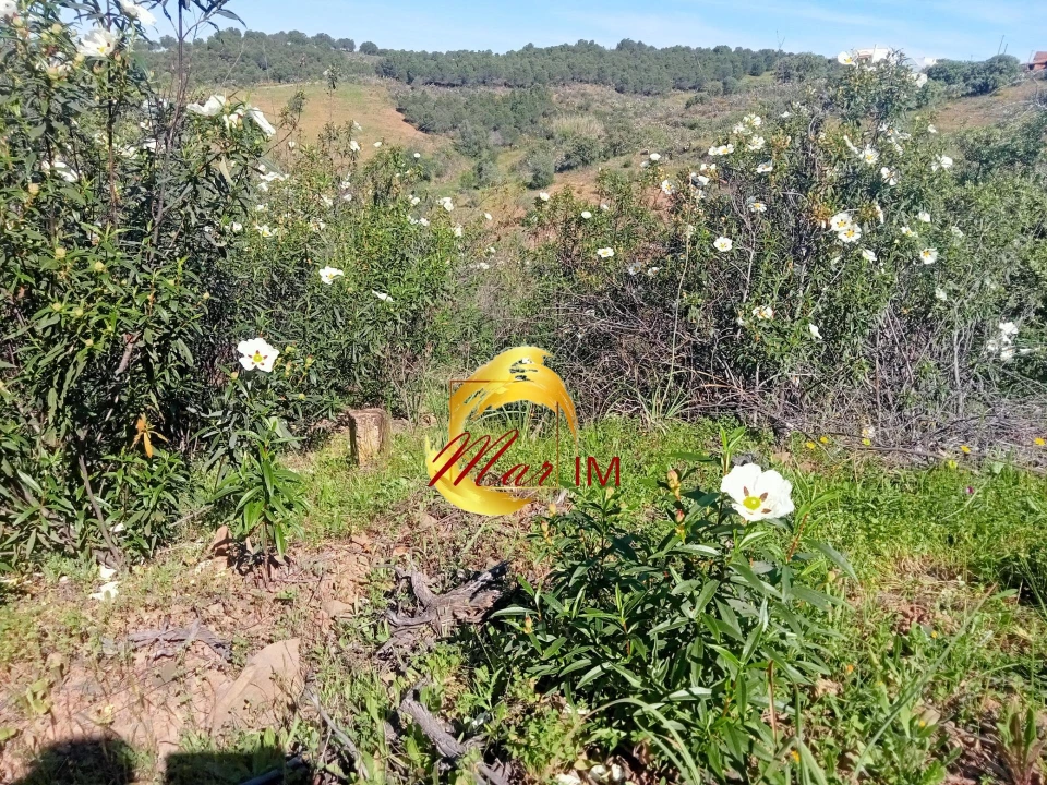 Terreno Agricola ou Rústico para Venda em Odeleite Foto 6
