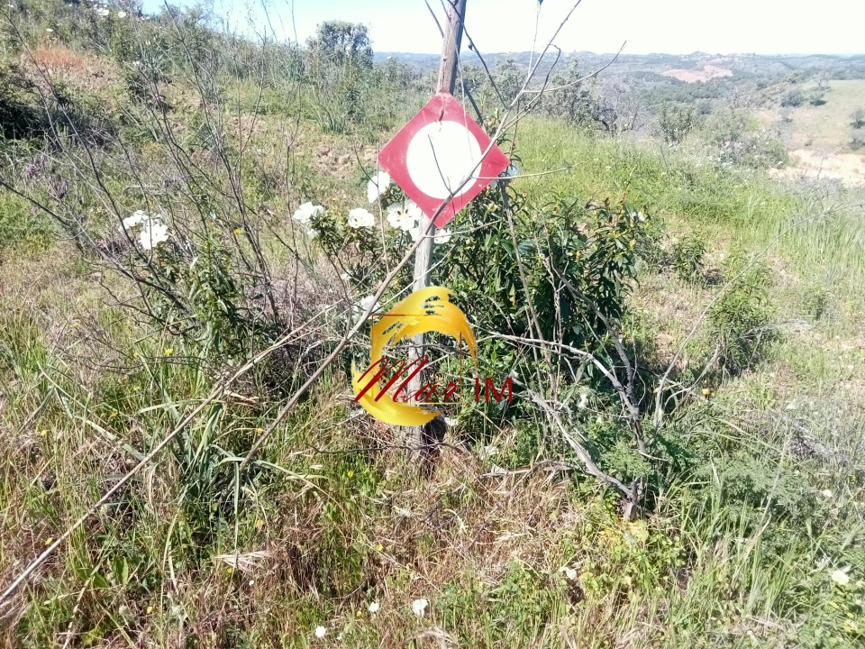 Terreno Agricola ou Rústico para Venda em Odeleite Foto 8