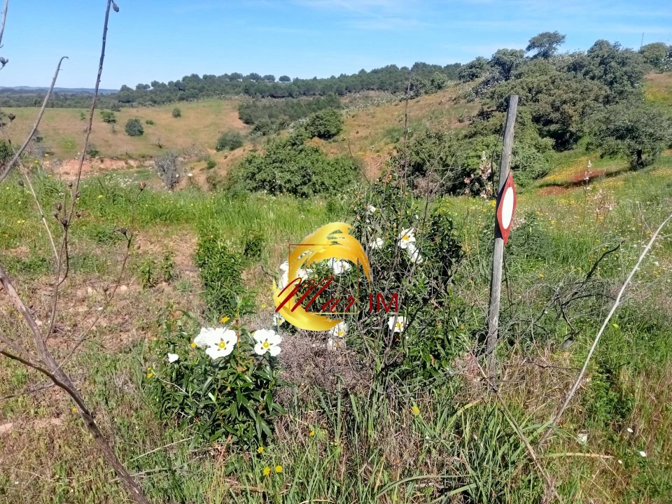 Terreno Agricola ou Rústico para Venda em Odeleite Foto 9